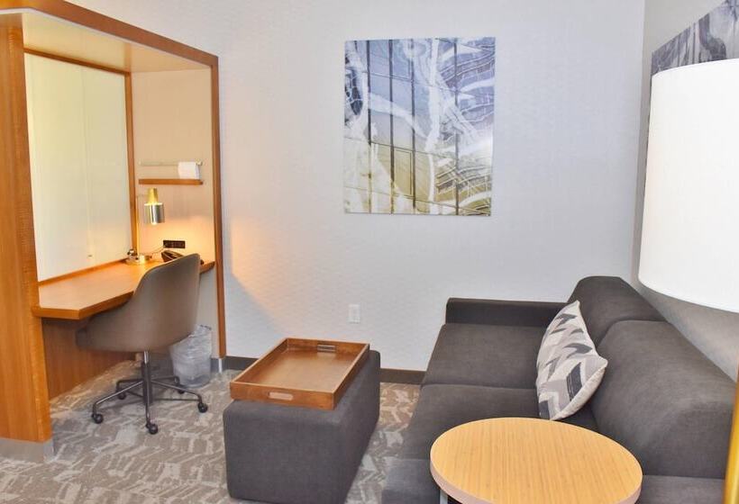 스위트, Springhill Suites By Marriott Grand Junction Downtown/historic Main Street