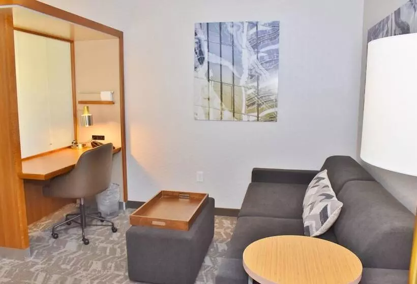 スイート, Springhill Suites By Marriott Grand Junction Downtown/historic Main Street