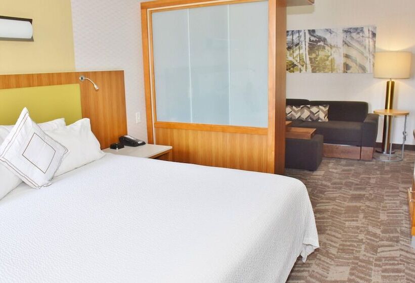 Люкс, Springhill Suites By Marriott Grand Junction Downtown/historic Main Street