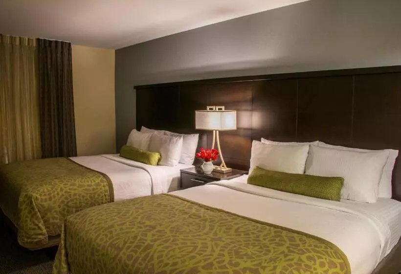 ２ベッドスイートルーム, Staybridge Suites Schererville, An Ihg