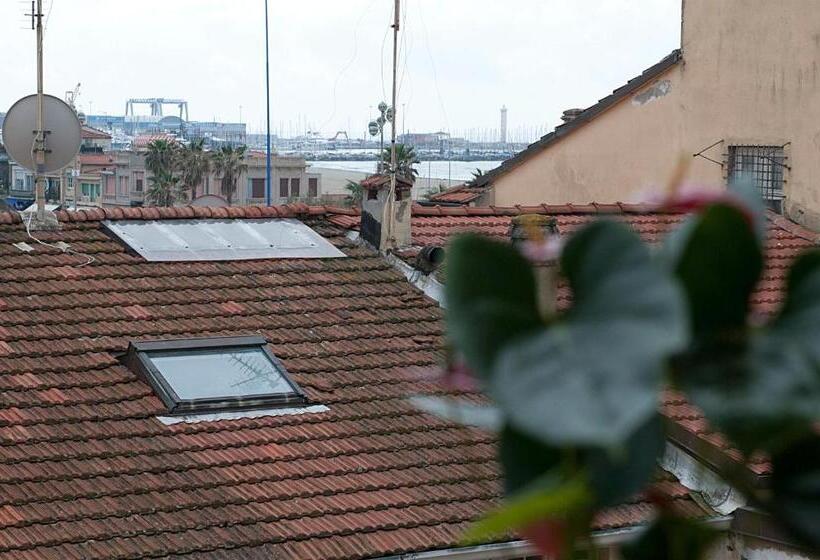 اتاق استاندارد, Dolly