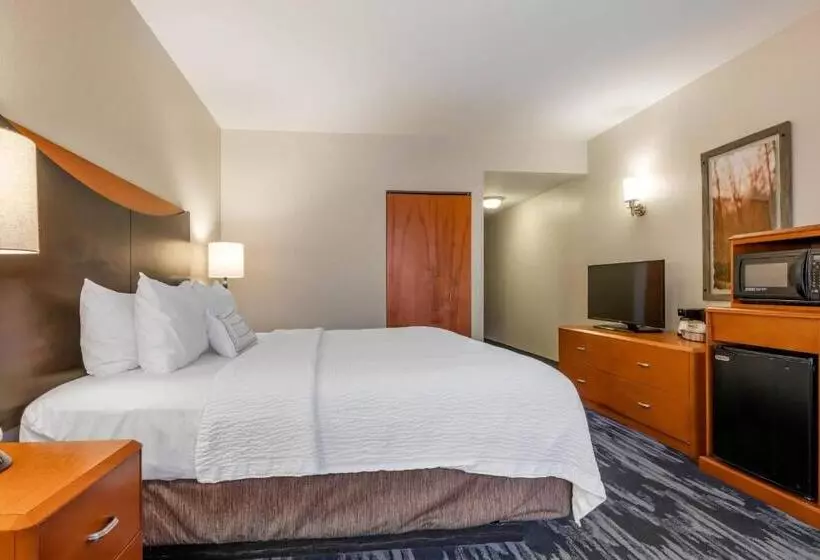 キングサイズベッドのスタンダードルーム, Fairfield Inn And Suites Holiday Tarpon Springs