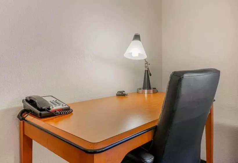 キングサイズベッドのスタンダードルーム, Fairfield Inn And Suites Holiday Tarpon Springs