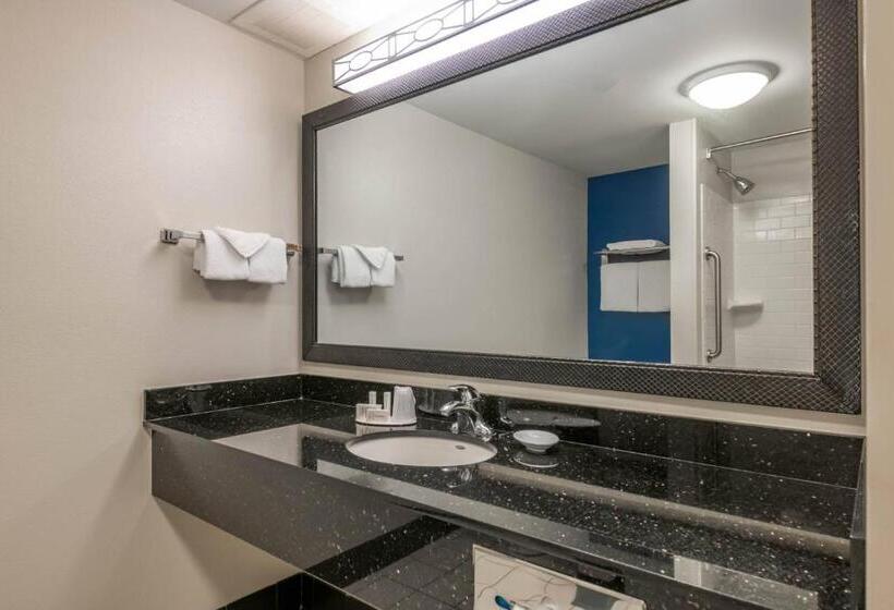 إستوديو قياسى سرير كينج, Fairfield Inn And Suites Holiday Tarpon Springs