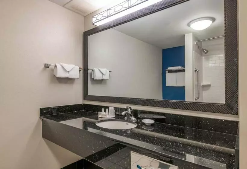 キングサイドベッドのスタンダードワンルーム, Fairfield Inn And Suites Holiday Tarpon Springs