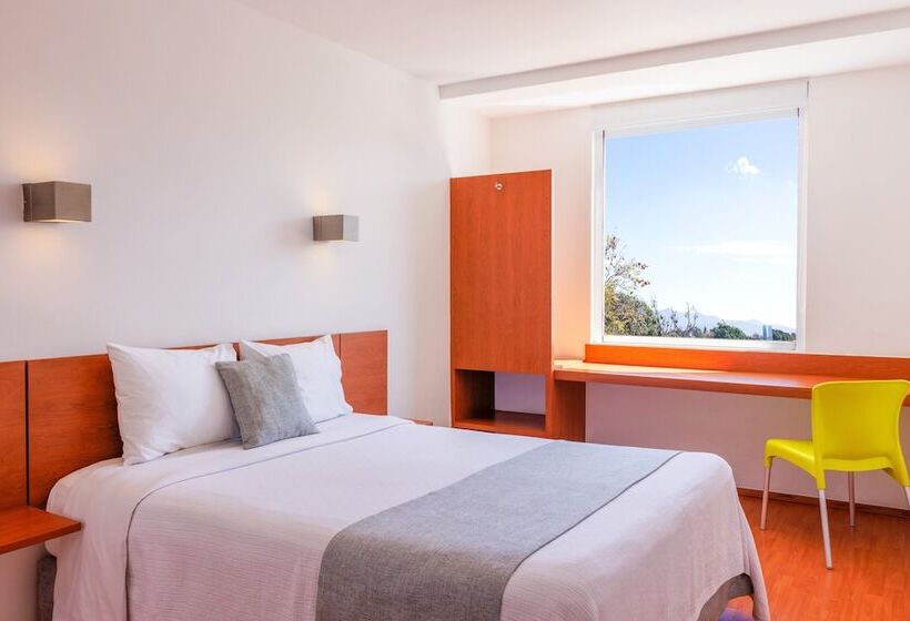 Номер Superior, One Oaxaca Centro