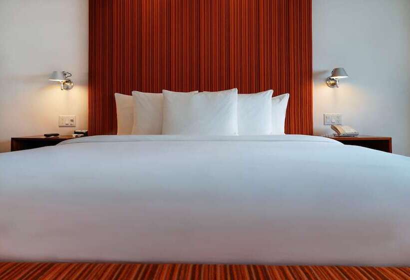 デラックスルーム, The Tony Hotel South Beach