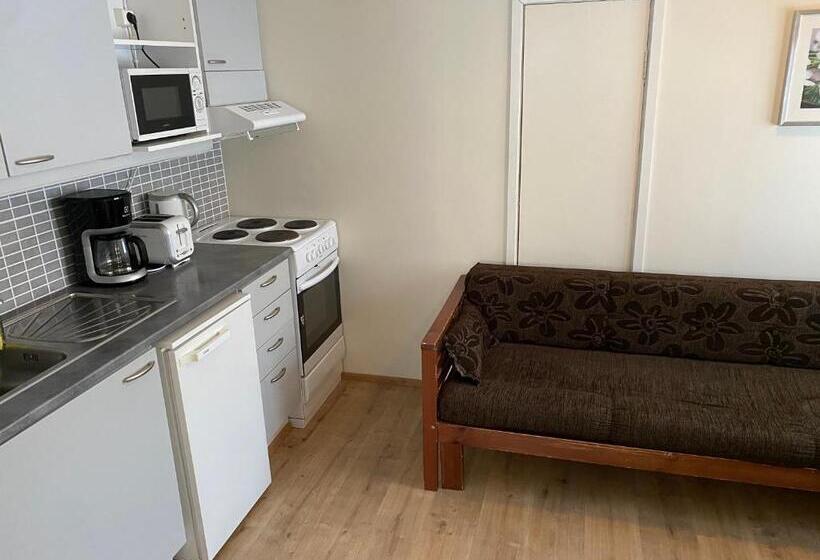 １ベッドルームアパートメント, Aakenus Apartments