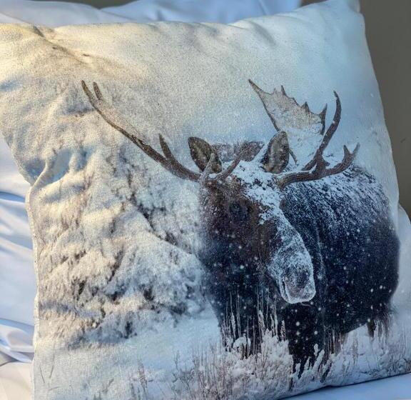 １ベッドルームアパートメント, Aakenus Apartments