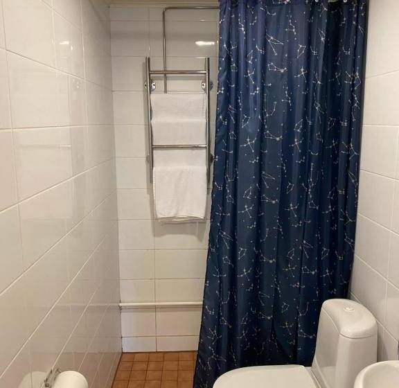 １ベッドルームアパートメント, Aakenus Apartments