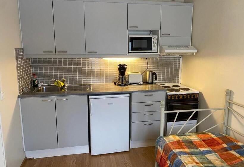 침실 1개 아파트, Aakenus Apartments