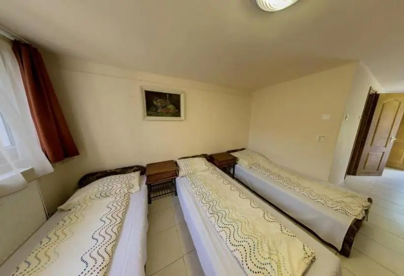 スタンダード4人部屋, Strand Motel, Vígadó Csárda