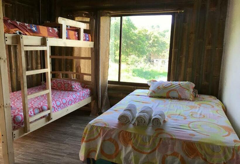 家庭间, Hostal Fara