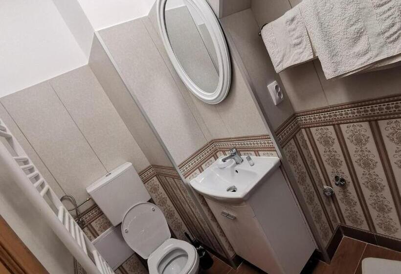 غرفة قياسية, Zira Residence Brasov