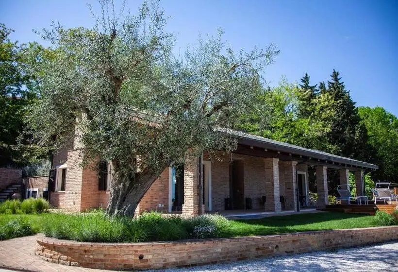 スーペリアールーム, Resort Villa Paola