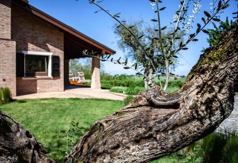 חדר סופריור, Resort Villa Paola