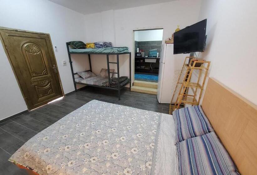 اتاق استاندارد با چشمانداز باغ, Steele Honey