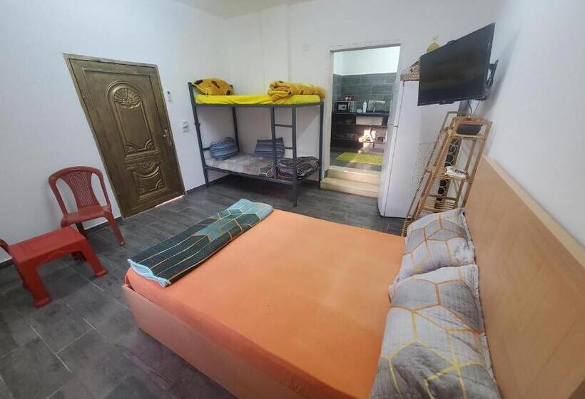 اتاق استاندارد با چشمانداز باغ, Steele Honey