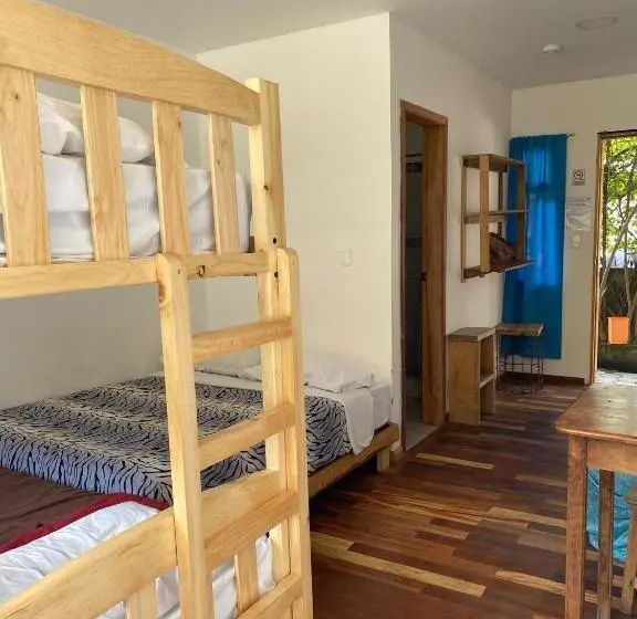 スタンダードルーム, Backpackers Balcones River Lodge