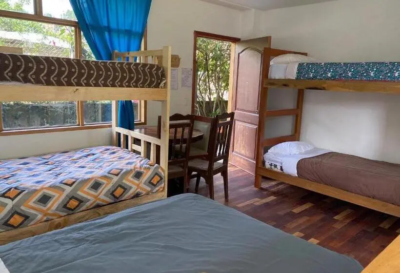 スタンダードトリプルルーム, Backpackers Balcones River Lodge