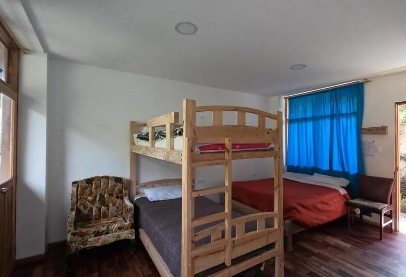 スタンダード４人部屋, Backpackers Balcones River Lodge