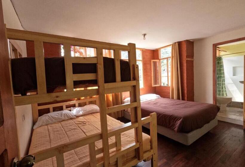 マウンテンビューファミリールーム, Backpackers Balcones River Lodge