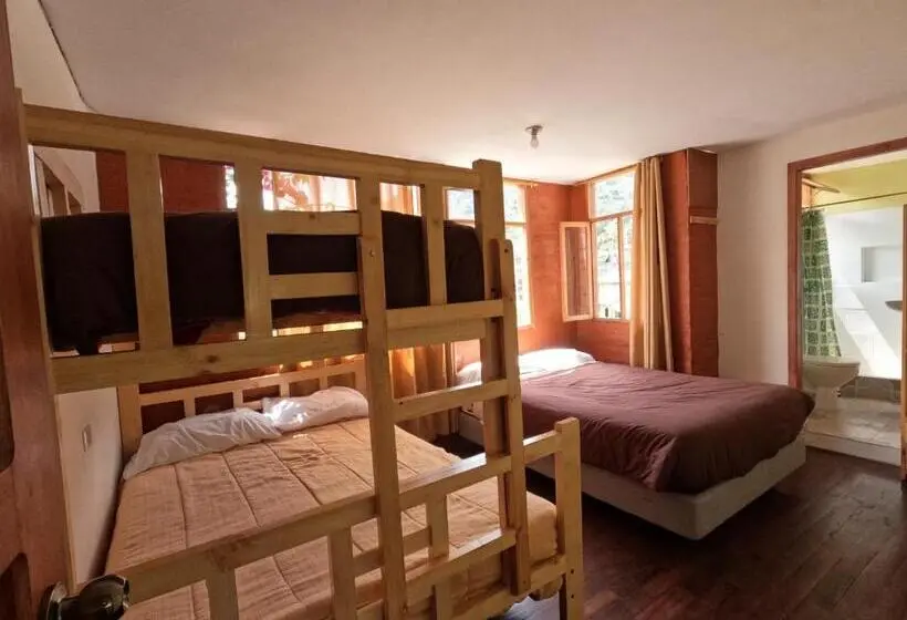 マウンテンビューファミリールーム, Backpackers Balcones River Lodge