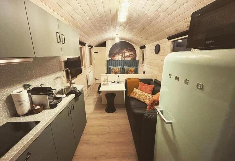 סטודיו סטנדרט עם מרפסת, Boris & Barney