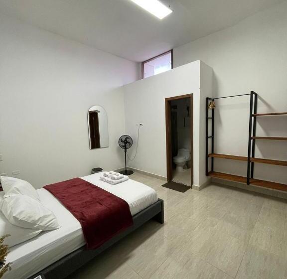 Номер Стандарт, Terramonti House