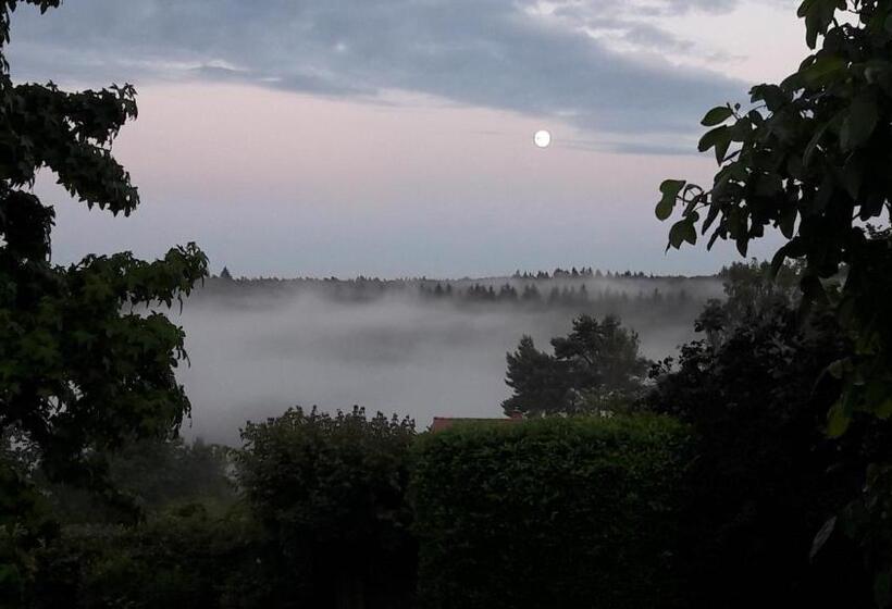 标准间带露台, Hallerbos B&b In Bluebell Forest