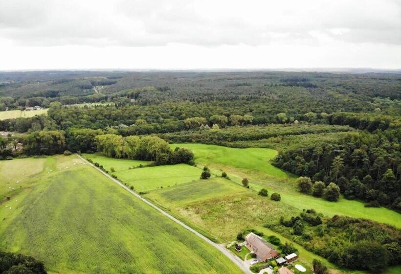 标准间带露台, Hallerbos B&b In Bluebell Forest