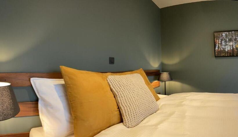 标准间带露台, Hallerbos B&b In Bluebell Forest