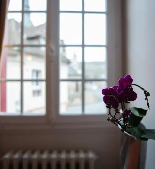 اتاق استاندارد, La Maison Carpe Diem