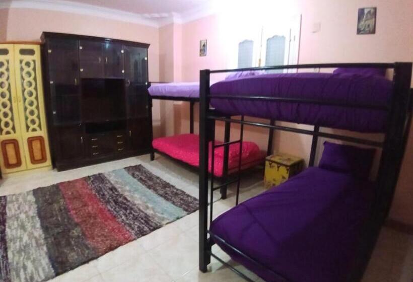 تختخواب در اتاق مشترک, Go Inn Backpackers