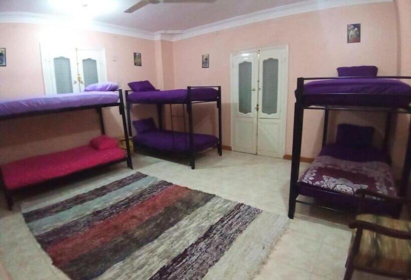 تختخواب در اتاق مشترک, Go Inn Backpackers