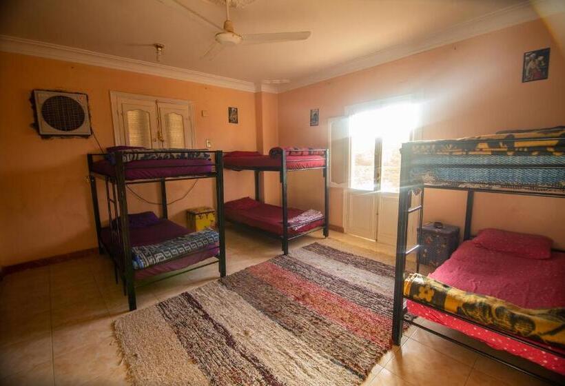 تختخواب در اتاق مشترک, Go Inn Backpackers