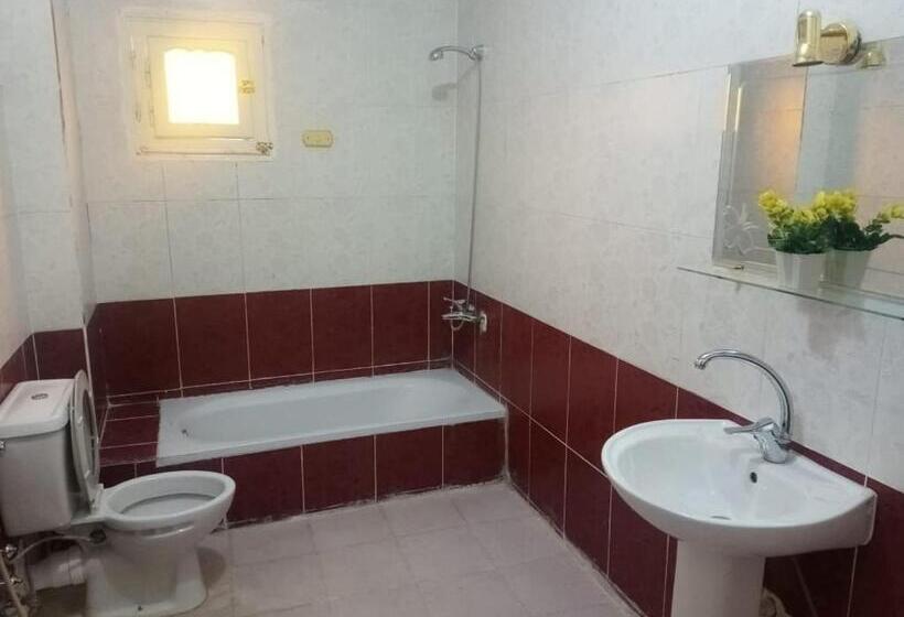 اتاق اکونومی, Go Inn Backpackers