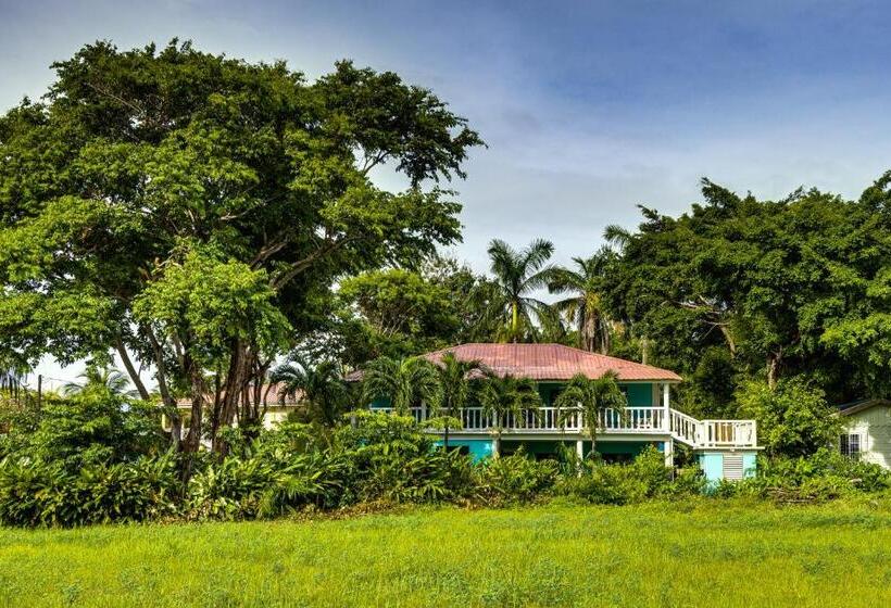 Президентский Люкс, The Sea Glass Inn