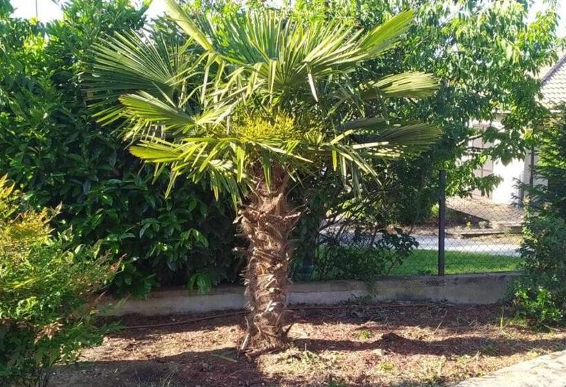 スタンダードルーム, L Escale Du Monde