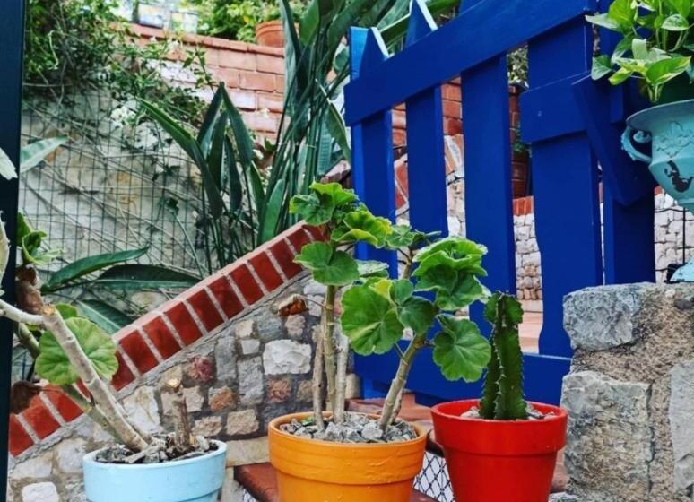Трехместный Номер Стандарт Вид на Бассейн, Vfh Villa Flavia Eco B&b   50 Metri Dal Mare