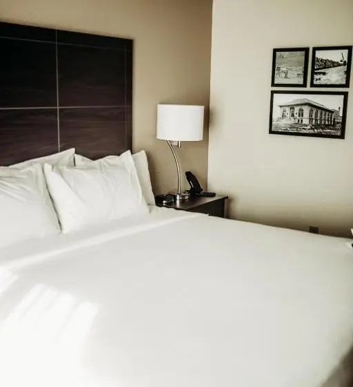 اتاق استاندارد با تخت بزرگ برای معلولان, Cobblestone Hotel & Suites International Falls