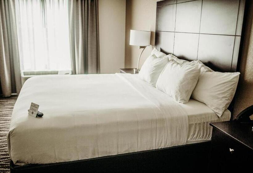 장애인을 위한 킹사이즈 침대 스탠다드 룸, Cobblestone Hotel & Suites International Falls