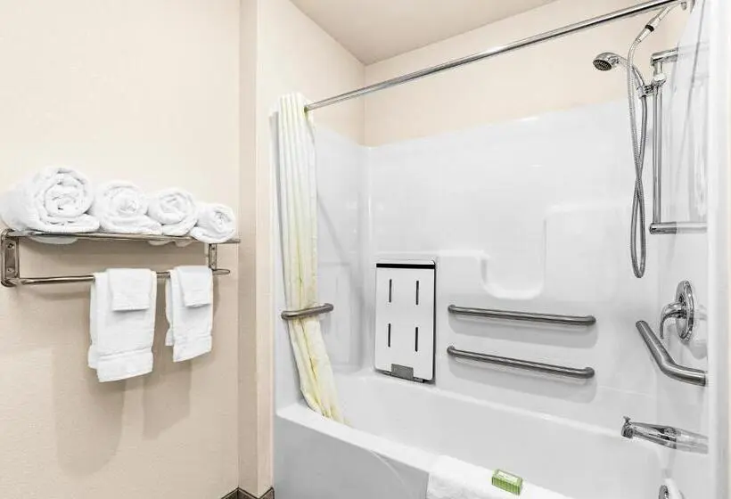 اتاق استاندارد برای معلولان, Cobblestone Hotel & Suites International Falls
