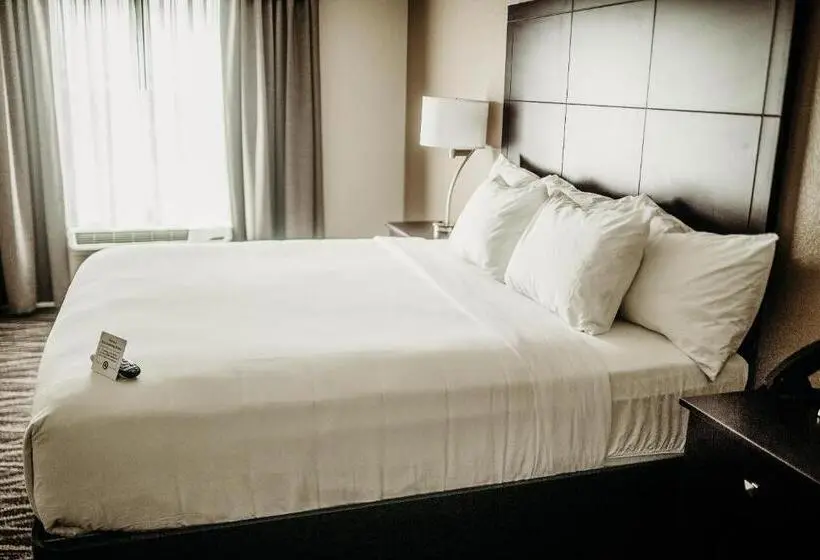 استودیو استاندارد با تخت کینگ, Cobblestone Hotel & Suites International Falls