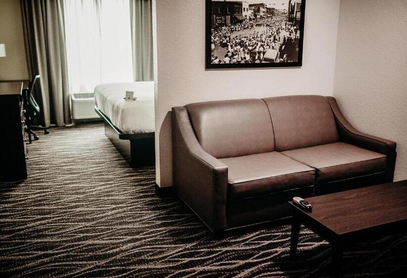 Студио Стандарт Кровать Кинг, Cobblestone Hotel & Suites International Falls