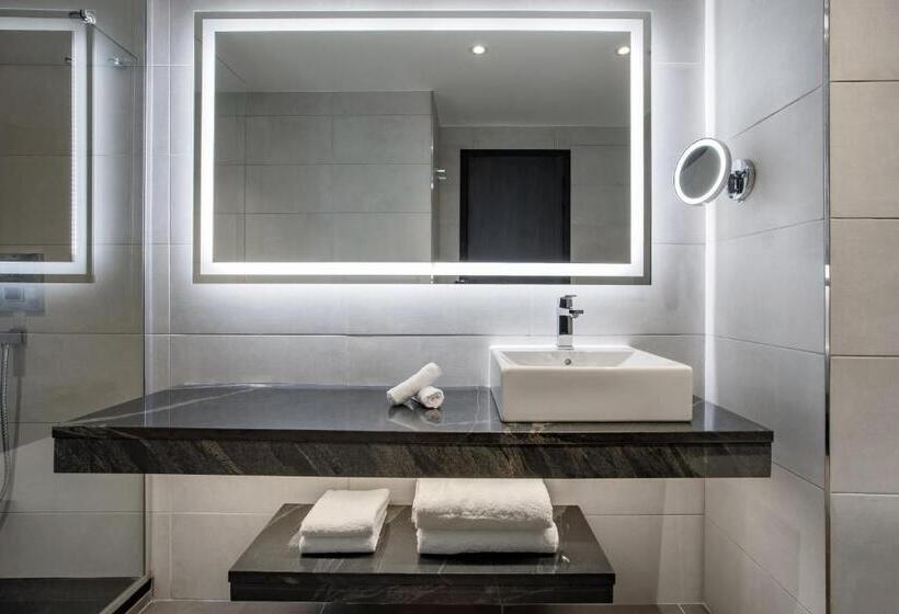 اتاق استاندارد, Radisson Blu Hotel Antananarivo Waterfront