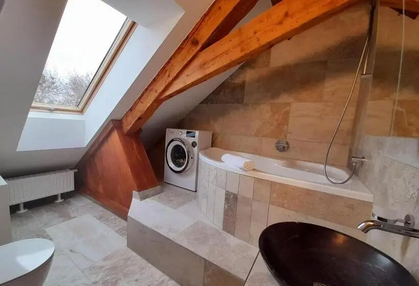 Standard-studio King-vuode, Residence Mariánská
