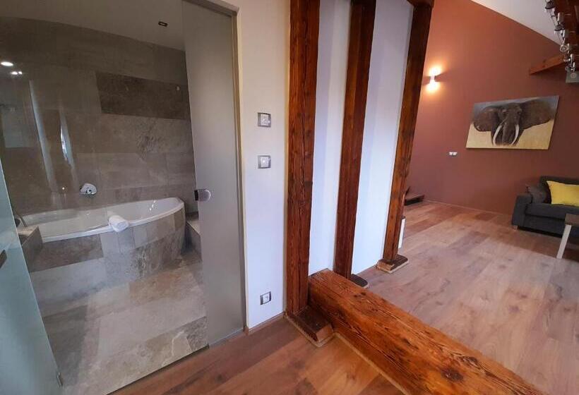 شقة غرفة واحدة, Residence Mariánská