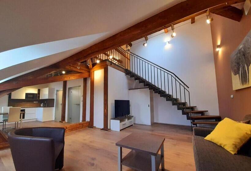 شقة غرفة واحدة, Residence Mariánská