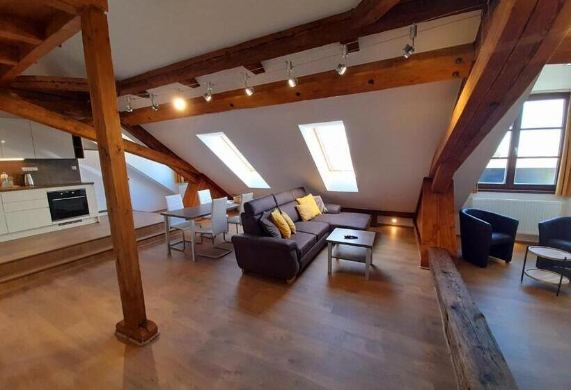 شقة غرفتين, Residence Mariánská